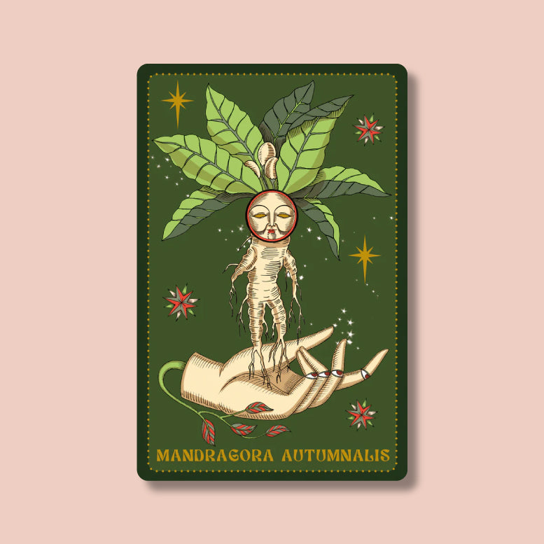 Herbarium oracle di Elisa Seitzinger
