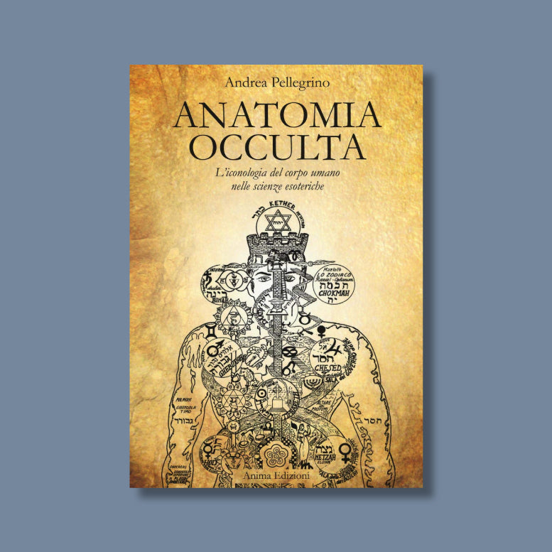 Anatomia occulta di Andrea Pellegrino